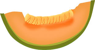 Cantaloupe icon